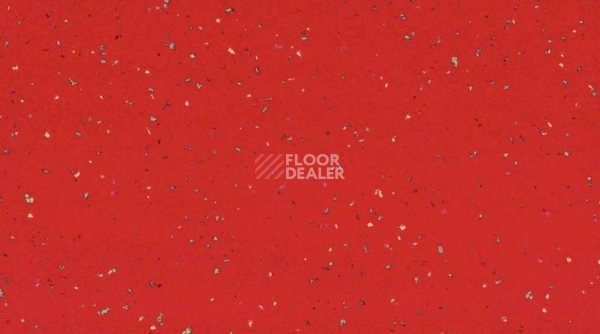 Линолеум Taralay Premium Compact Indiana 4141 ZANZIBAR фото 1 | FLOORDEALER